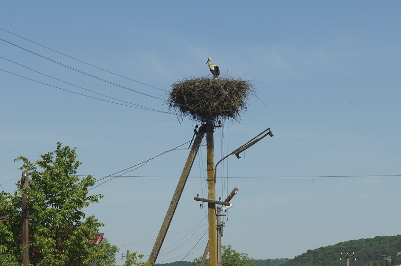 Украина