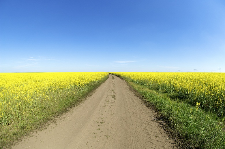 Украина