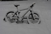 Из жизни велосипеда